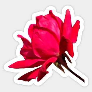 Bright Red Rose Flower Sticker